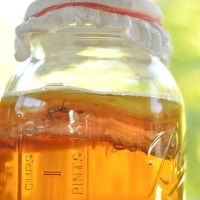 как делать настой чайного гриба дома замечания как делать настой чайного гриба дома замечания