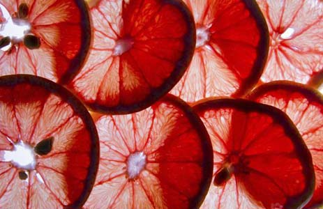 цитрусовые в борьбе с раковыми заболеваниями цитрусовые в борьбе с раковыми заболеваниями