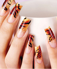 Легкие рисунки на ногтях Легкие рисунки на ногтях