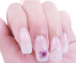 дизайн ногтей с сухоцветами дизайн ногтей с сухоцветами